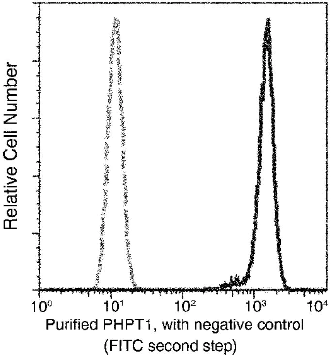 Flow Cytometry (Intracellular) - Anti-PHPT1 antibody [001] - BSA and Azide free (AB276060)