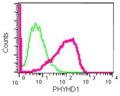 Flow Cytometry (Intracellular) - Anti-PHYHD1 antibody [EPR13313(B)] - BSA and Azide free (AB250730)