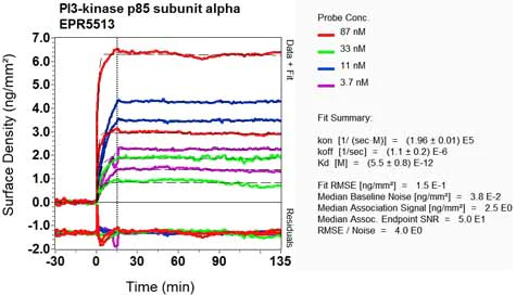 OI-RD Scanning - Anti-PI 3 Kinase p85 alpha antibody [EPR5513] - BSA and Azide free (AB240072)