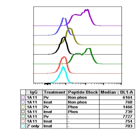Flow Cytometry - Anti- PI 3 Kinase p85 alpha (phospho Y467) + PI3 Kinase p55 (phospho Y199) antibody [PI3KY458-1A11] (AB278545)