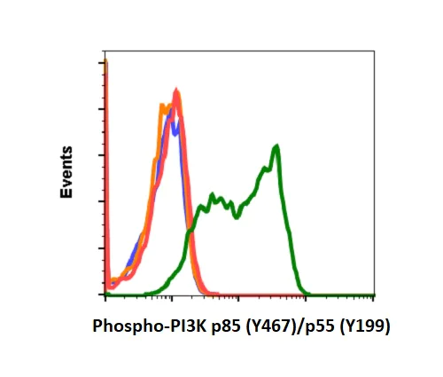 Flow Cytometry - Anti- PI 3 Kinase p85 alpha (phospho Y467) + PI3 Kinase p55 (phospho Y199) antibody [PI3KY458-1A11] (AB278545)