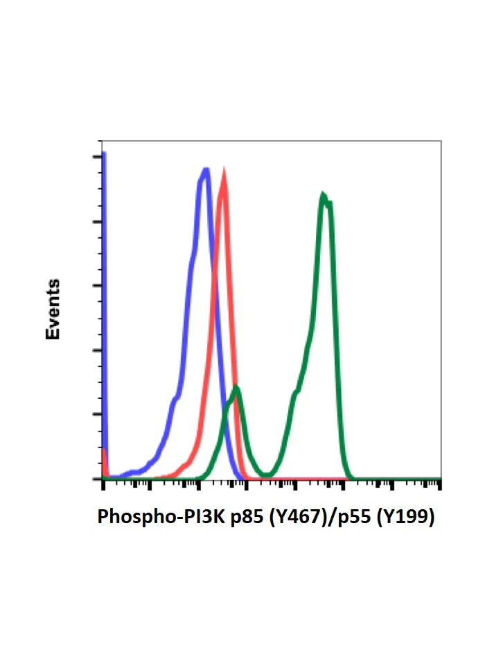 Flow Cytometry - Anti- PI 3 Kinase p85 alpha (phospho Y467) + PI3 Kinase p55 (phospho Y199) antibody [PI3KY458-1A11] (AB278545)