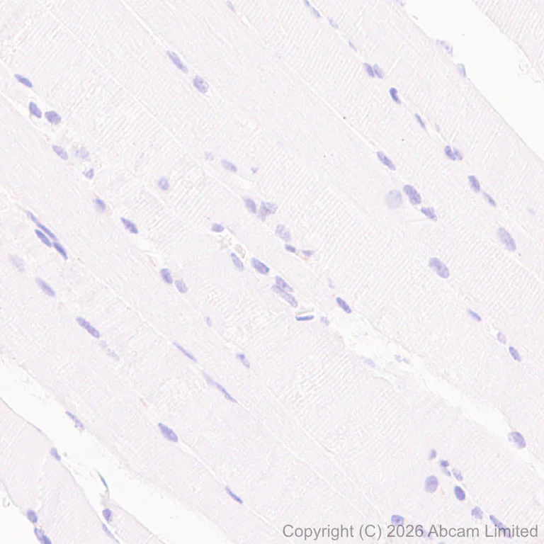 Immunohistochemistry (Formalin/PFA-fixed paraffin-embedded sections) - Anti-PI-9 antibody [EPR30517-563] (AB325928)