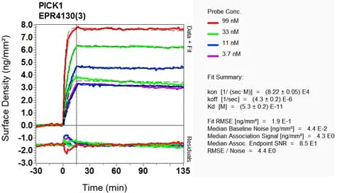 OI-RD Scanning - Anti-PICK1 antibody [EPR4130(3)] (AB133773)
