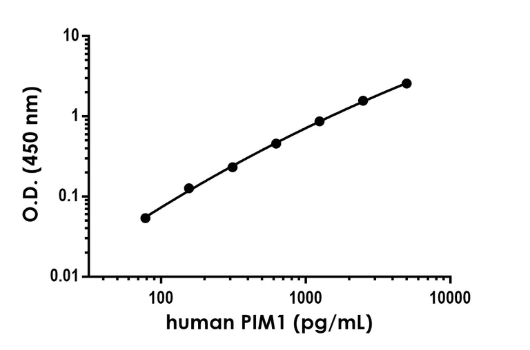 Sandwich ELISA - Anti-PIM1 antibody [EPR24447-38] - BSA and Azide free (Capture) (AB300779)