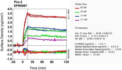 OI-RD Scanning - Anti-PIM2 antibody [EPR6987] (AB129057)