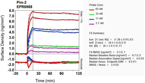 OI-RD Scanning - Anti-PIM2 antibody [EPR6988] (AB129193)