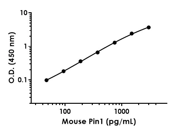Sandwich ELISA - Anti-Pin1 antibody [EPR18546-317] - BSA and Azide free (Detector) (AB242829)