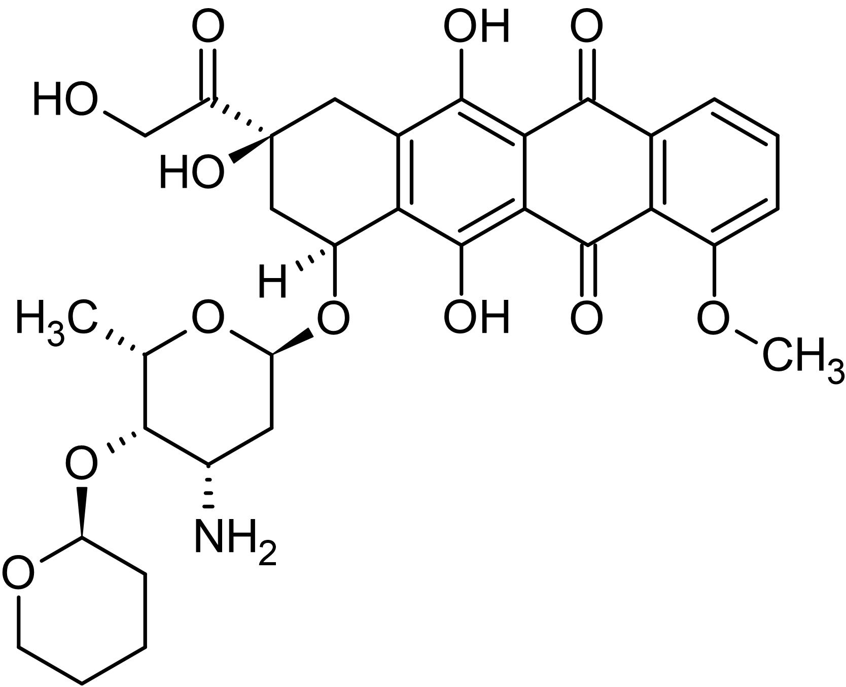 Pirarubicin, Topoisomerase II inhibitor