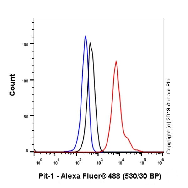 Flow Cytometry (Intracellular) - Anti-Pit1 antibody [EPR23555-203] (ab273048), expandable thumbnail