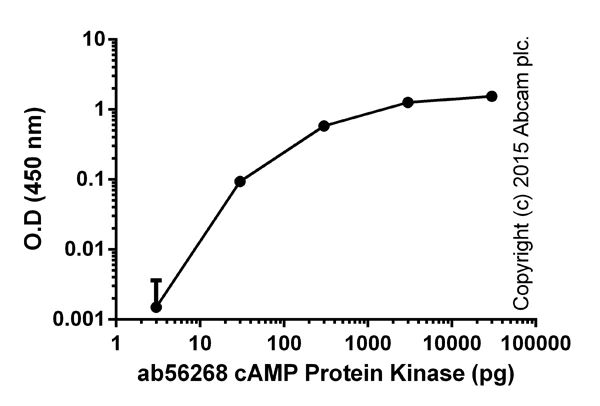 Functional Studies - PKA Kinase Activity Assay Kit (AB139435)