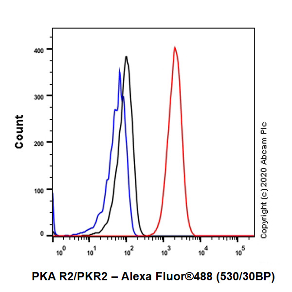Flow Cytometry (Intracellular) - Anti-PKA R2/PKR2 antibody [Y116] (AB32514), expandable thumbnail