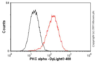 Flow Cytometry (Intracellular) - Anti-PKC alpha antibody [Y124] - BSA and Azide free (AB221611)