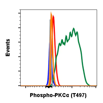 Flow Cytometry - Anti-PKC alpha (phospho T497) antibody [PKCaT497-F1] (AB278608)