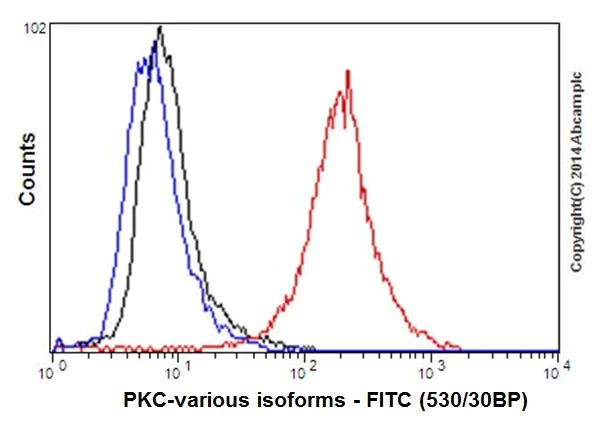 Flow Cytometry (Intracellular) - Anti-PKC antibody [EPR17368] (AB181558)