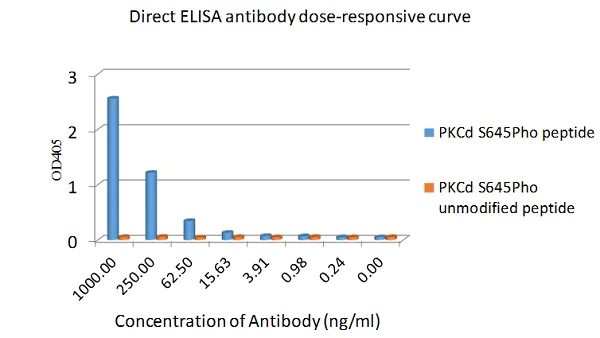 ELISA - Anti-PKC delta (phospho S645) antibody [EP1486Y] - BSA and Azide free (AB284781)