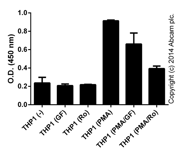 Functional Studies - PKC Kinase Activity Assay Kit (AB139437)