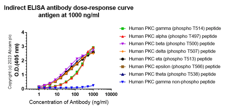 Indirect ELISA - Anti-PKC (phospho T514) antibody [EP2730Y] (AB109539)