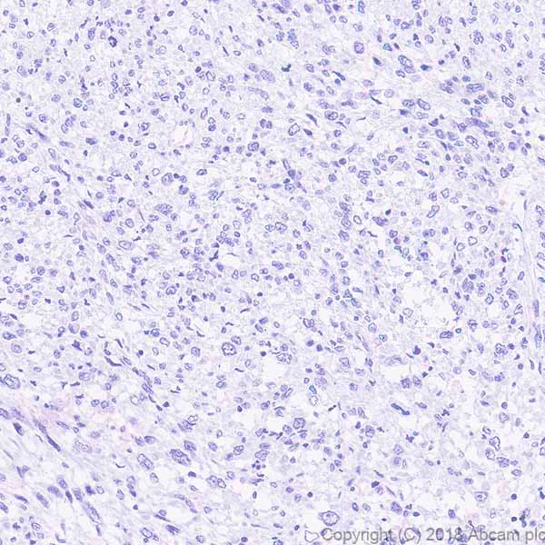 Immunohistochemistry (Formalin/PFA-fixed paraffin-embedded sections) - Anti-PKC theta/PRKCQ antibody [EPR22277] - BSA and Azide free (AB243851)
