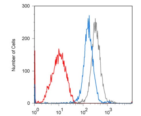 Flow Cytometry - Anti-PKC theta/PRKCQ (phospho T538) antibody [F4H4L1] (AB203565)