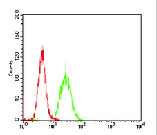 Flow Cytometry - Anti-PKHD1 antibody [8G12A1] (AB204951), expandable thumbnail
