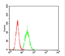 Flow Cytometry - Anti-PKHD1 antibody [8G12A1] (AB204951)