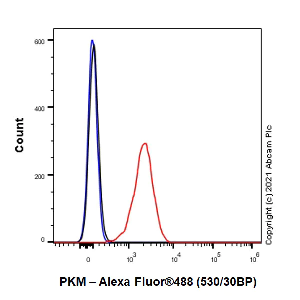 Flow Cytometry (Intracellular) - Anti-PKM antibody [EPR10138(B)] - BSA and Azide free (AB206129)
