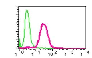 Flow Cytometry (Intracellular) - Anti-PKN antibody [EPR3238] - BSA and Azide free (AB247726)