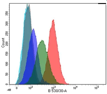 Flow Cytometry - Anti-PLA2R antibody [12-6-5] (AB211490)