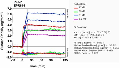 OI-RD Scanning - Anti-Placental alkaline phosphatase (PLAP) antibody [EPR6141] - BSA and Azide free (ab220315), expandable thumbnail