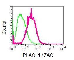 Flow Cytometry (Intracellular) - Anti-PLAGL1 / ZAC antibody [EPR7523] - BSA and Azide free (AB248273), expandable thumbnail