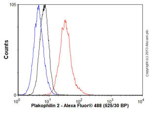 Plakophilin 2/PKP2抗体[8H6] (ab151402)| Abcam中文官网