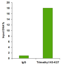 Functional Studies - Plant Chromatin Extraction Kit (AB156906), expandable thumbnail