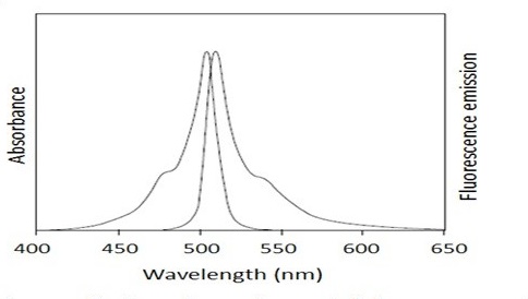 Fluorescence Microscopy - Plasma Fluorescent Exosome Standard (AB288123), expandable thumbnail