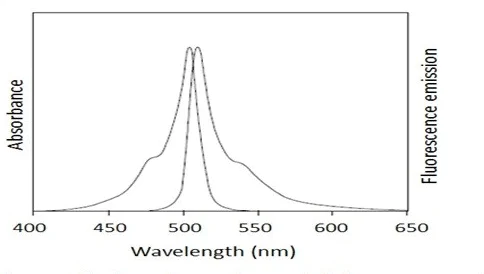 Fluorescence Microscopy - Plasma Fluorescent Exosome Standard (AB288123)