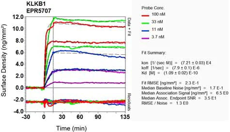 OI-RD Scanning - Anti-Plasma Kallikrein 1B antibody [EPR5707] - BSA and Azide free (AB188827)