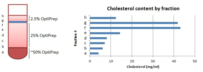 Functional Studies - Plasma Membrane Isolation Kit (AB284937)