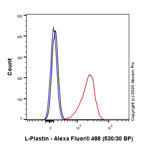 Flow Cytometry (Intracellular) - Anti-Plastin L antibody [EPR4278] (AB109129)