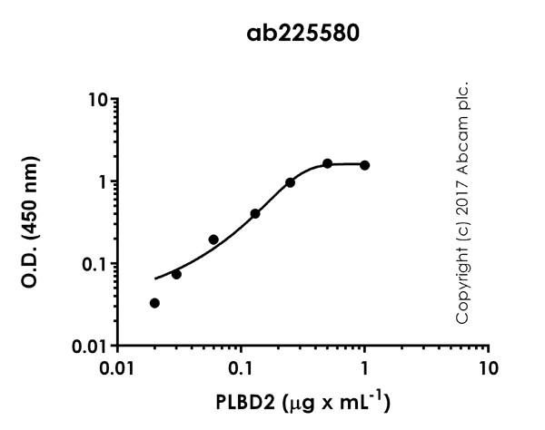 Indirect ELISA - Anti-PLBD2 antibody [EPR21204] (AB225580)