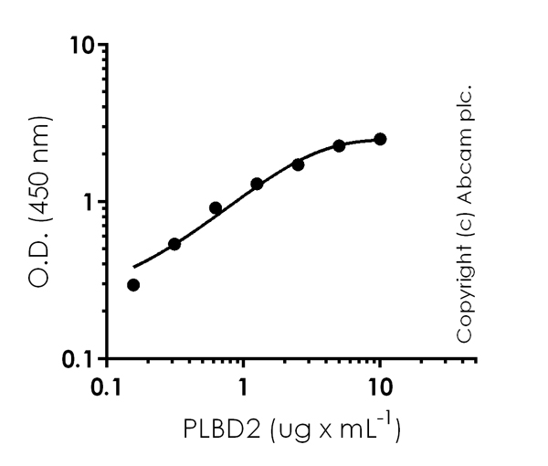 ELISA - Anti-PLBD2 antibody [IGX4128H] (AB213295)