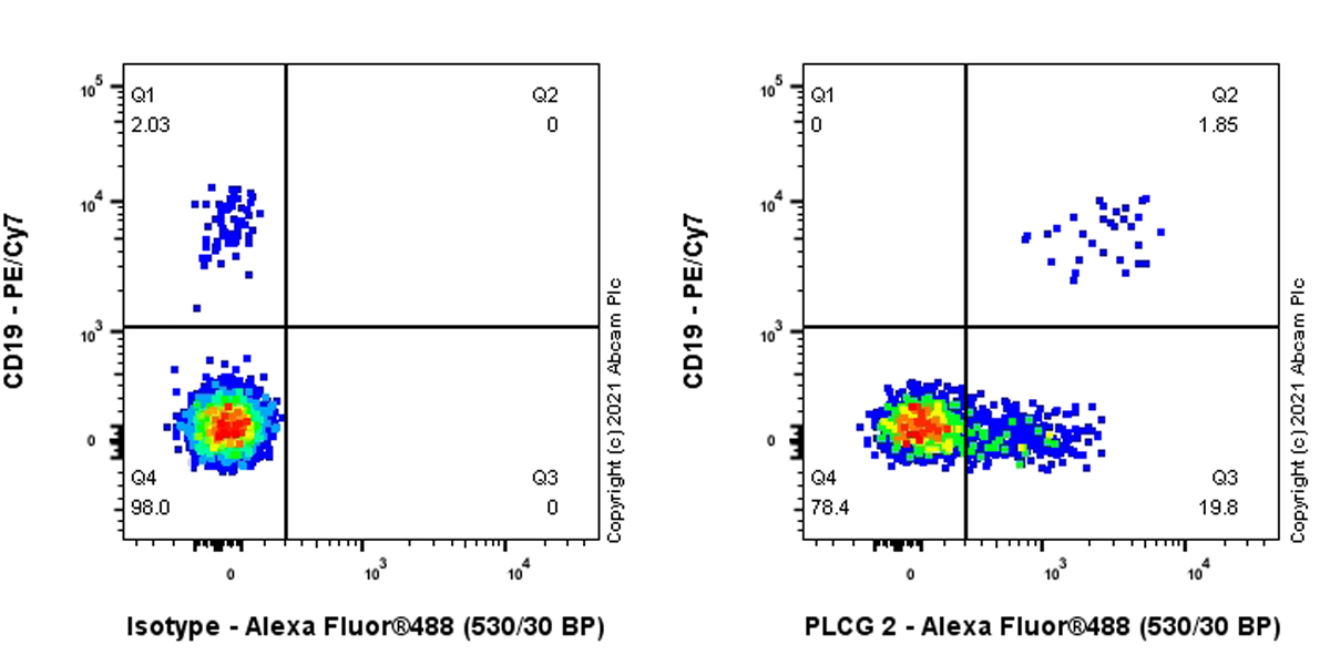 Flow Cytometry (Intracellular) - Anti-PLCG 2 antibody [EPR5914-34] - BSA and Azide free (AB248535), expandable thumbnail