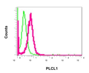 Flow Cytometry (Intracellular) - Anti-PLCL1 antibody [EPR11213] - BSA and Azide free (AB249305)