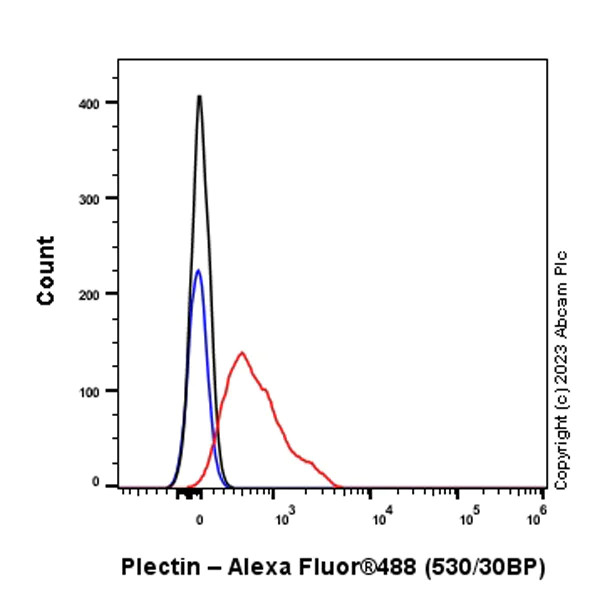 Flow Cytometry (Intracellular) - Anti-Plectin antibody [EPR26993-49] (AB312312)