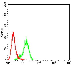 Flow Cytometry - Anti-Plexin A1 antibody [7B8H9] (AB233826)