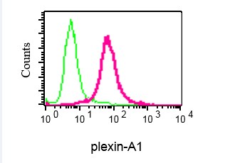 Flow Cytometry (Intracellular) - Anti-Plexin A1 antibody [EPR3449] (AB92346)
