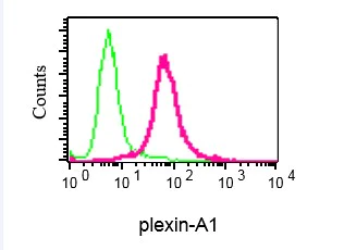 Flow Cytometry (Intracellular) - Anti-Plexin A1 antibody [EPR3449] - BSA and Azide free (AB247548)