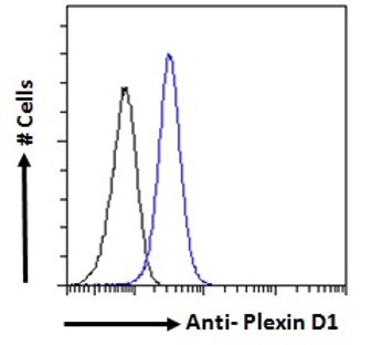 Flow Cytometry (Intracellular) - Anti-Plexin D1 antibody (AB28762), expandable thumbnail