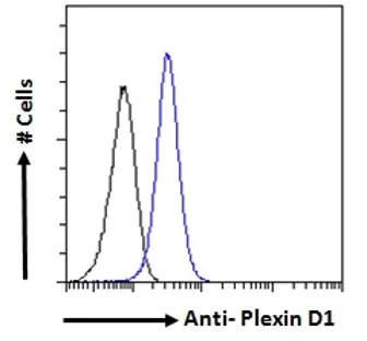 Flow Cytometry (Intracellular) - Anti-Plexin D1 antibody (AB28762)