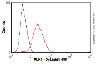Flow Cytometry (Intracellular) - Anti-PLK1 antibody [35-206] (AB17056), expandable thumbnail