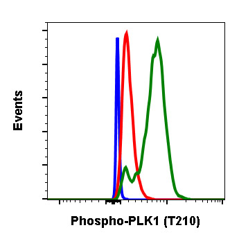 Flow Cytometry - Anti-PLK1 (phospho T210) antibody [PLK1T210-C2] (AB278768), expandable thumbnail